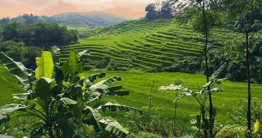 Trekking Pu luong Nature Reserve