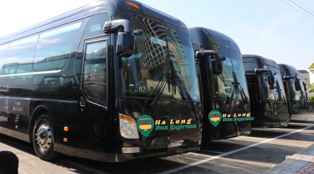 Halong Hanoi limousine bus 16-seater